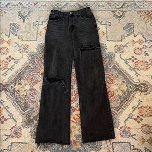 Zara High Rise Wide Leg Jean, Size 6